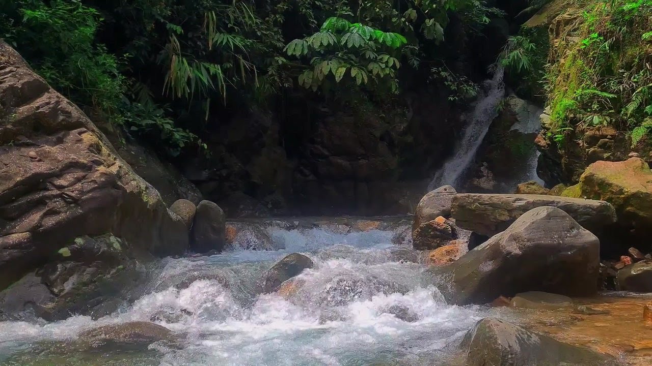 Healing Water Stream | Natural Sound for Restful Sleep and Stress Relief