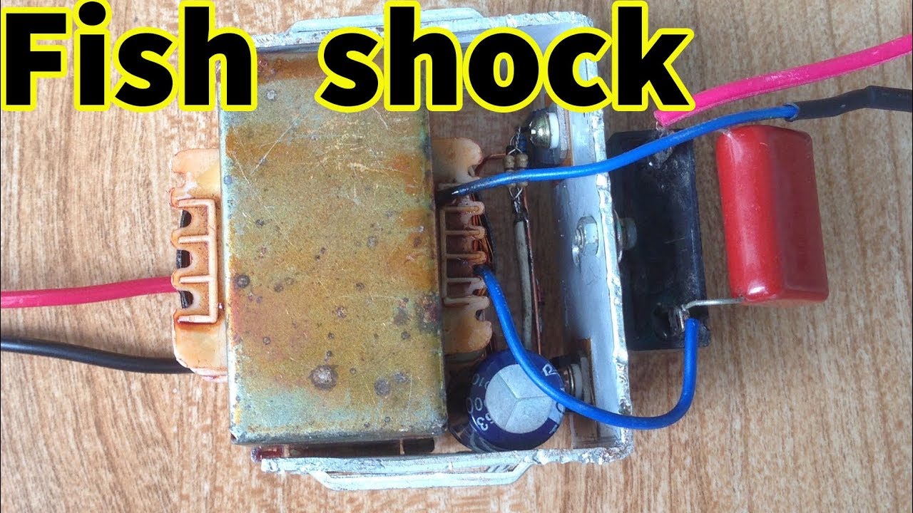 Fish shock Electric use transformer 2A