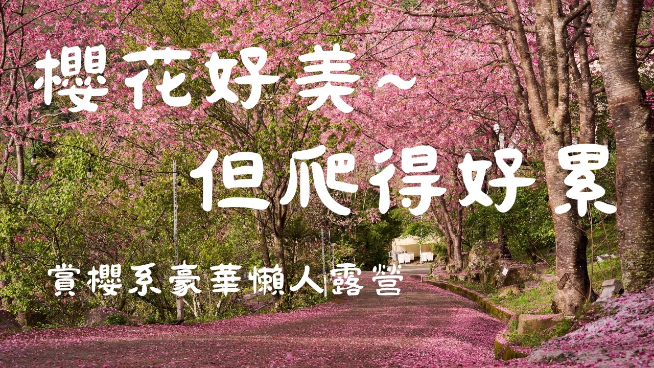 櫻花好美~但是爬坡好累口牙~｜來追櫻花的尾巴｜賞櫻系懶人露營｜星空漫漫｜