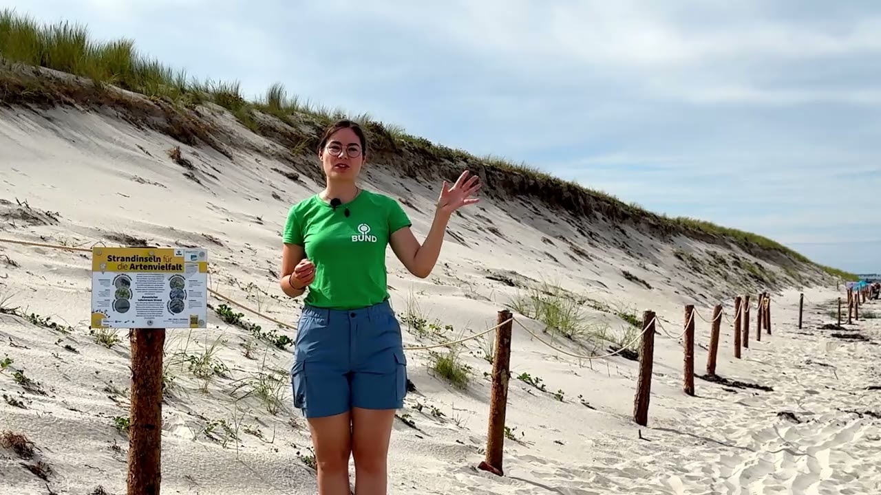 Sand habitats in the Baltic Sea – loved and used by us