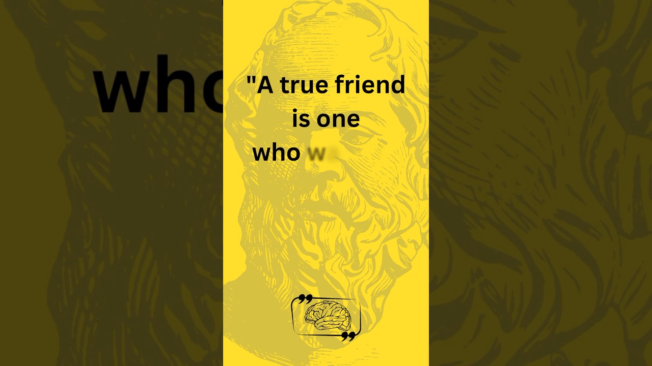 Quote by Socrates: True Friendship #quotes #lifelessons #friendship #ancientwisdom