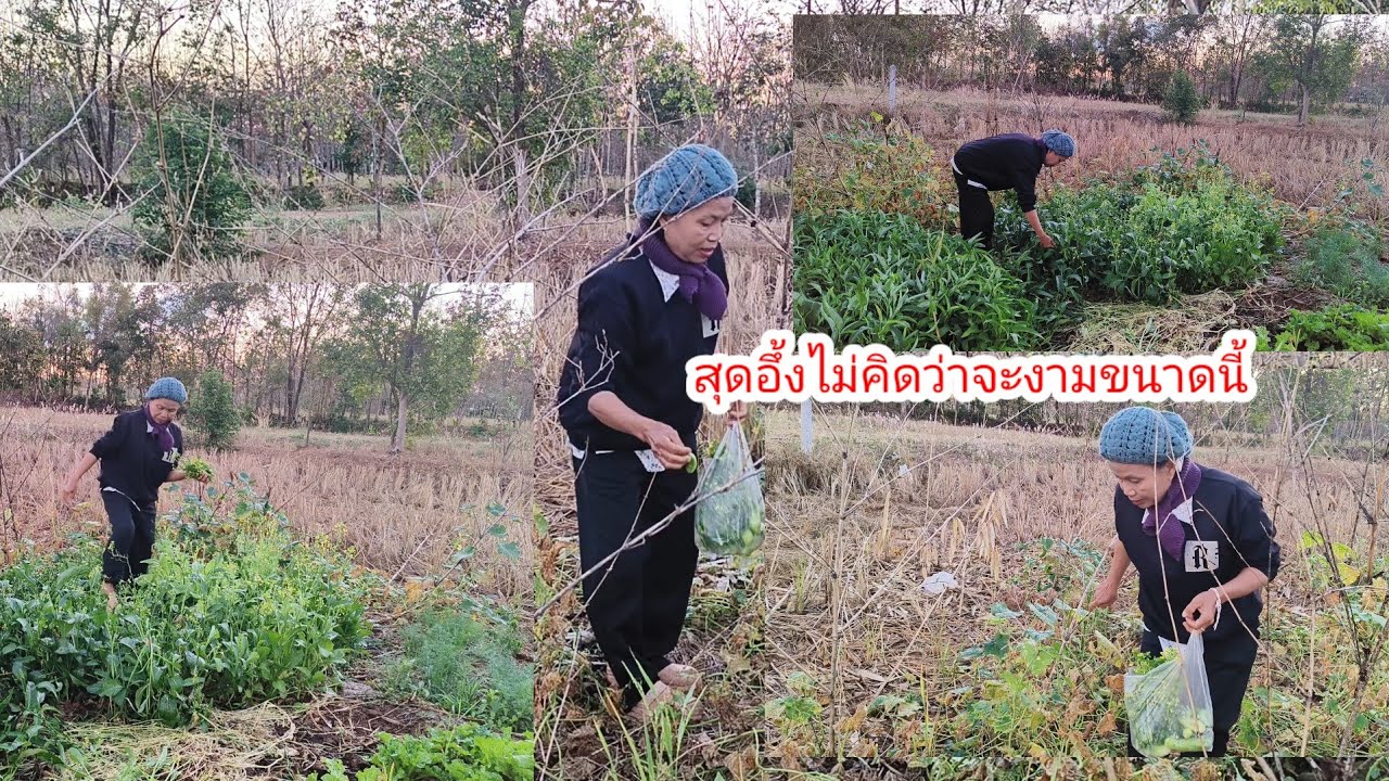 ถึงเวลาต้อง เก็บย้ายออกแล้ว#ป้าแต๋นชาเเนล 
