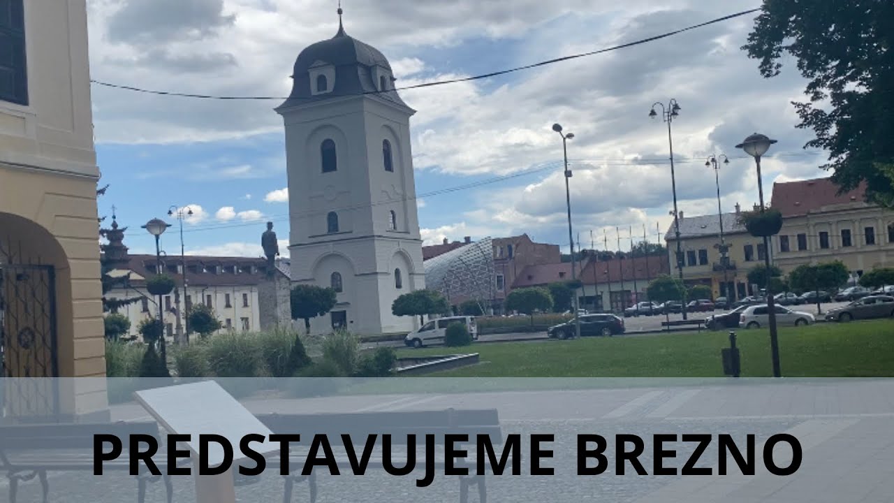 PREDSTAVUJEME BREZNO