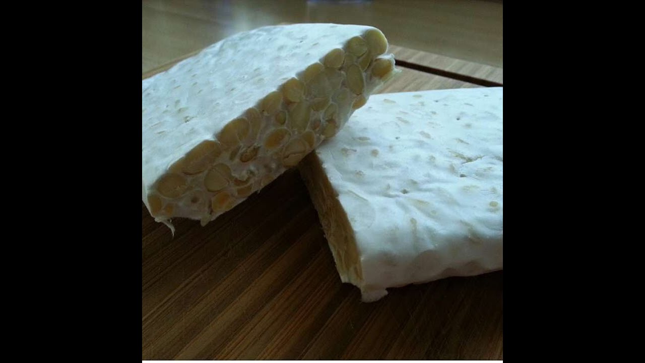 TEMPEH FATTO IN CASA