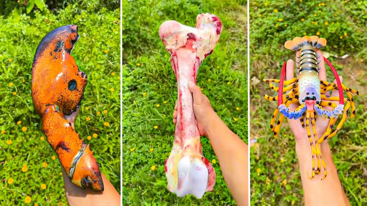 1 Đồng Mua Được Gì? P13 | Tik Tok Ẩm Thực Nướng Đá Trung Quốc | PQ Tik Tok