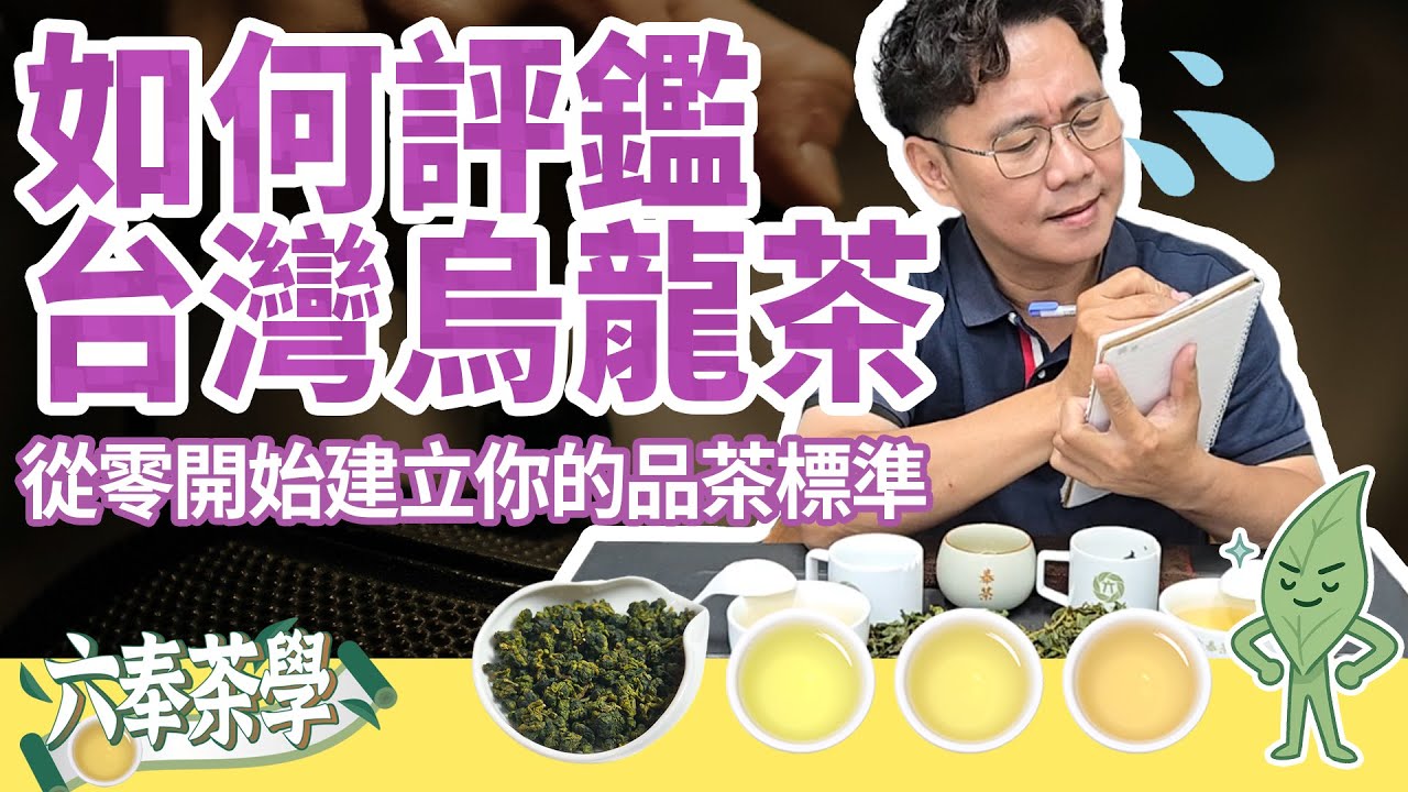 【六奉茶學】如何評鑑台灣烏龍茶？從零開始建立你的品茶標準