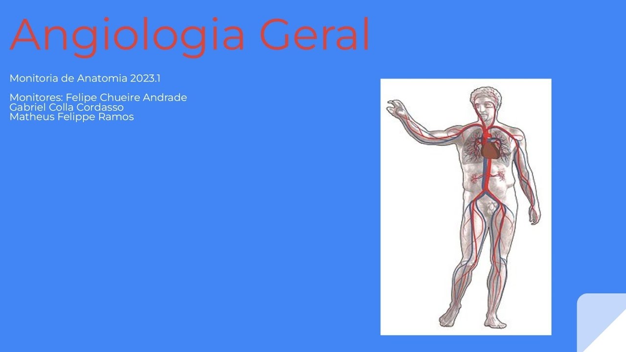 Angiologia Geral - Anatomia