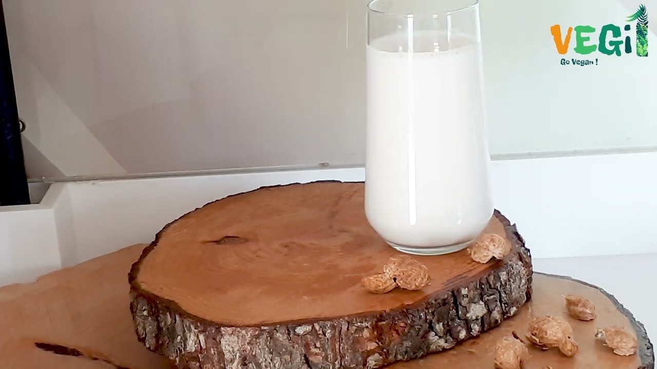 Peanut Milk Recipe | Make Delicious, Vegan, Protein-Rich, Lactose-free Peanut Milk at Home in 10 Min