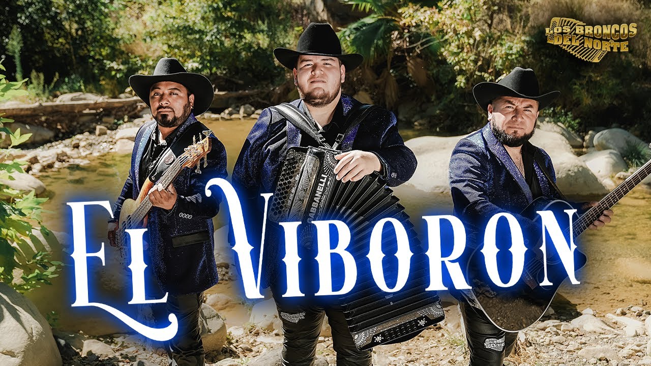 LOS BRONCOS DEL NORTE - EL VIBORON (VIDEO OFICIAL)