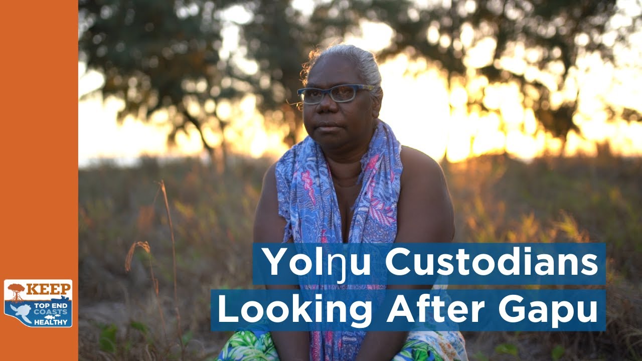 Yolŋu Custodians, looking after Gapu - Keep Top End Coasts Healthy