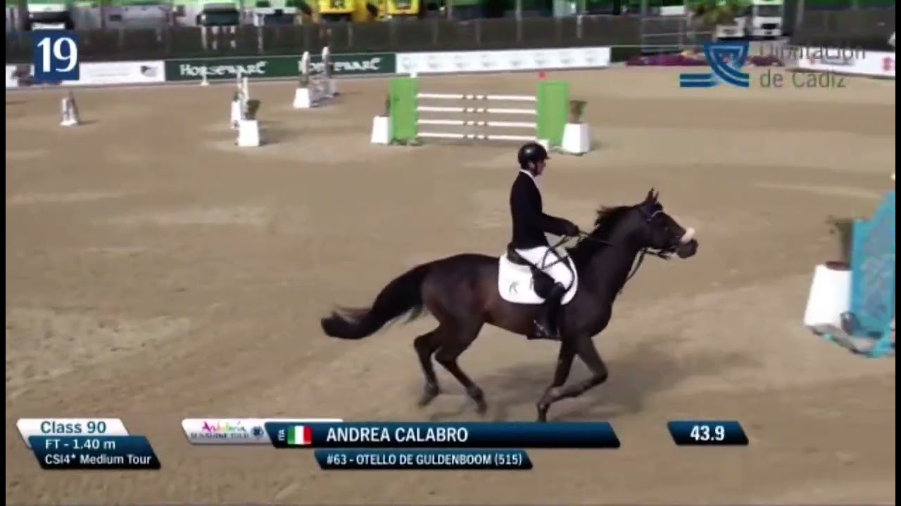 Otello de Guldenboom 2014 Stallion (Tobago Z x Caretino) 1.40m class CSI4* SunshineTour
