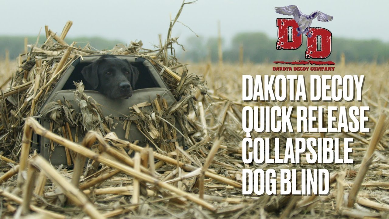 Introducing The Dakota Quick Release Collapsible Dog Blind
