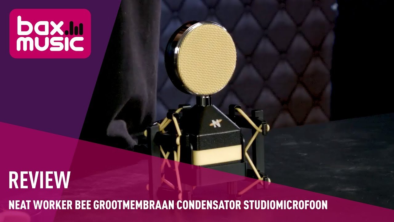 NEAT Worker Bee grootmembraan condensator studiomicrofoon Review | Bax Music