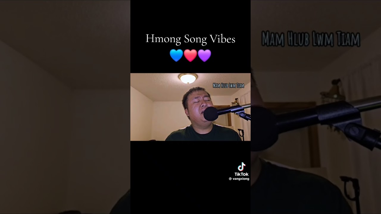 Hmong Song Vibes
