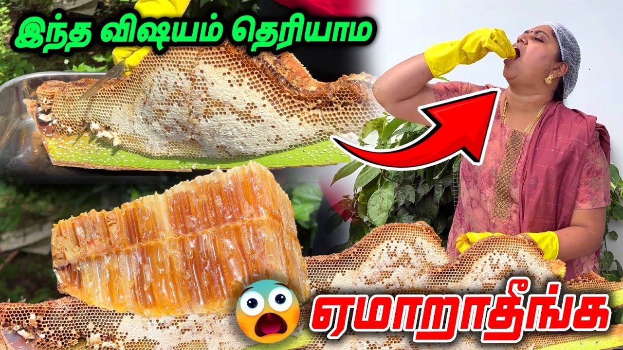 அட்ரா சக்கை உங்க வீடு தேடி வரும் pure forest honey honey bee Namma MKG original raw forest honey
