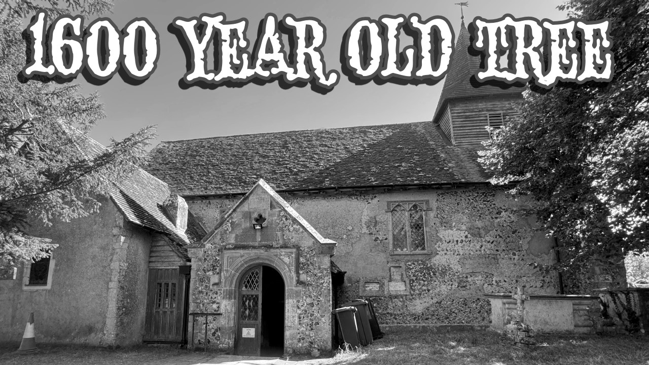 1,600-Year-Old Yew Tree & The Mysterious Wilmington Madonna | Wilmington, Sussex