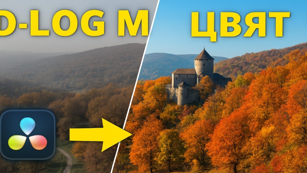 Как правилно да обработваме D-Log M кадри в DaVinci Resolve (Цялостен Color Management)