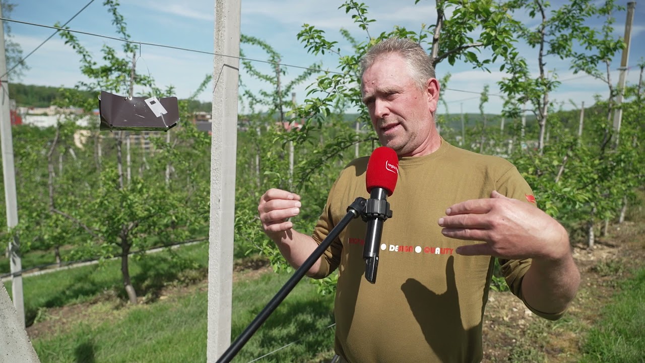 Verantwortungsvoller Obstbau