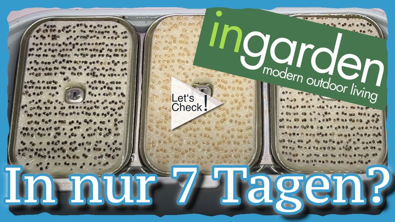 Ich checke ingarden Microgreen -  Macht das  Sinn ?