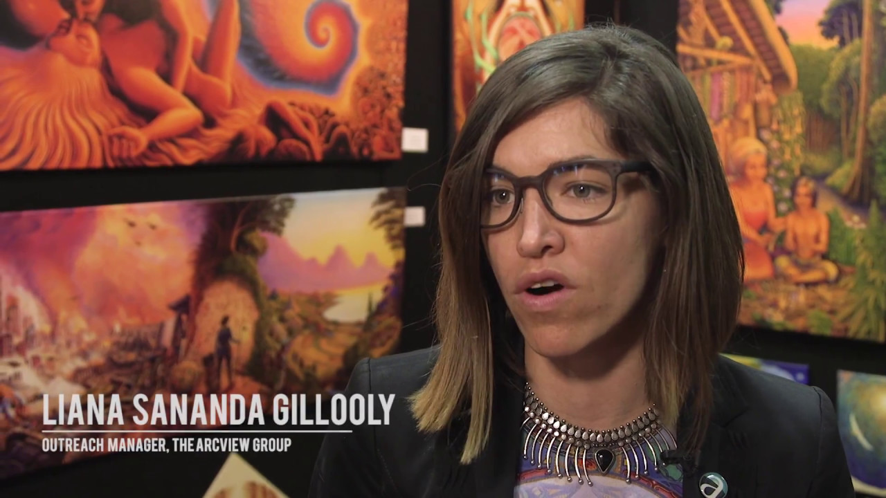 Psychedelic Science 2017 &mdash; Short Form Documentary