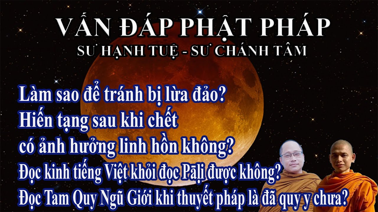 Vấn đáp Phật pháp ngày 10/03/2022 | sư Hạnh Tuệ - sư Chánh Tâm