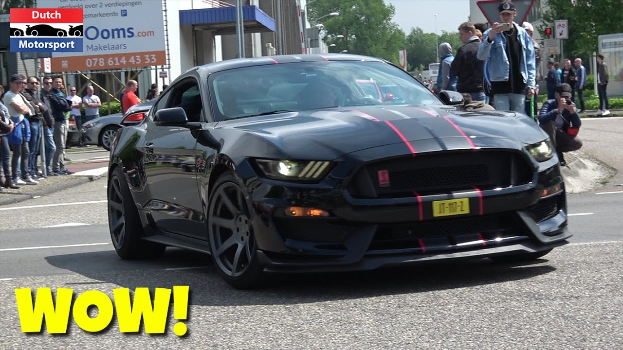 Ford Mustang Shelby GT350R! - ACCELERATIONS & Walkaround!