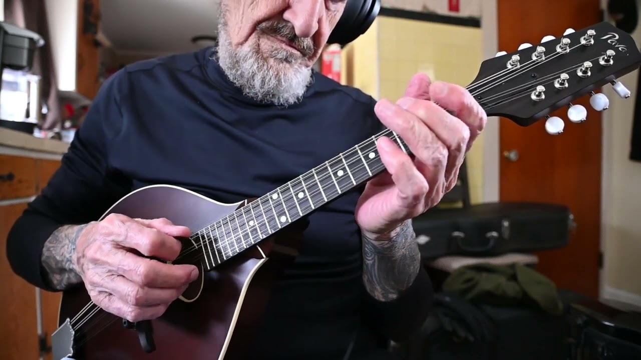 Are You Lonesome Tonight ( Mandolin )