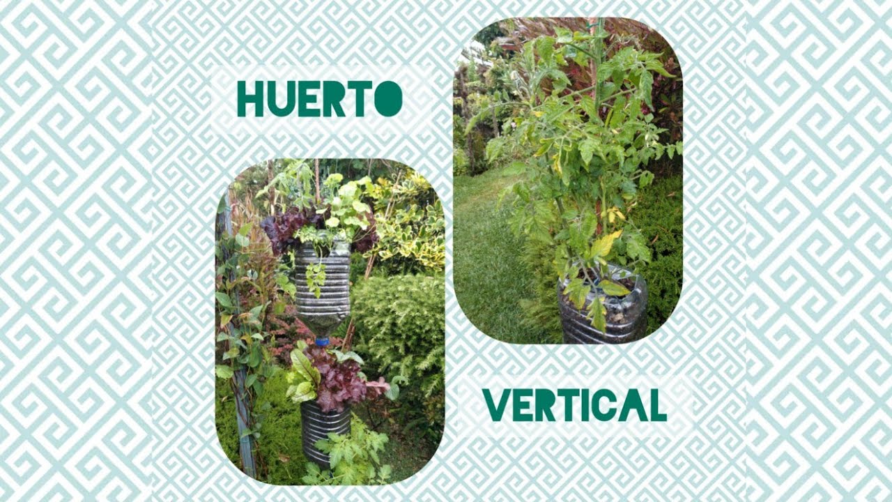 Crea un huerto vertical reutilizando botellas de plástico.