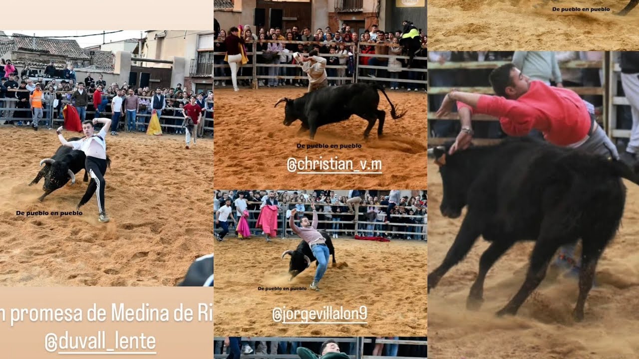 🐂🐮🐮 Villalon Campos Encierro Capea toro bravo vacas 20/3/2026