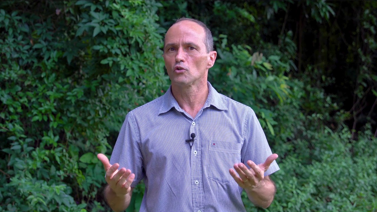 ESALQ - Aplica&ccedil;&atilde;o de f&oacute;sforo - Prof. Valter Casarin