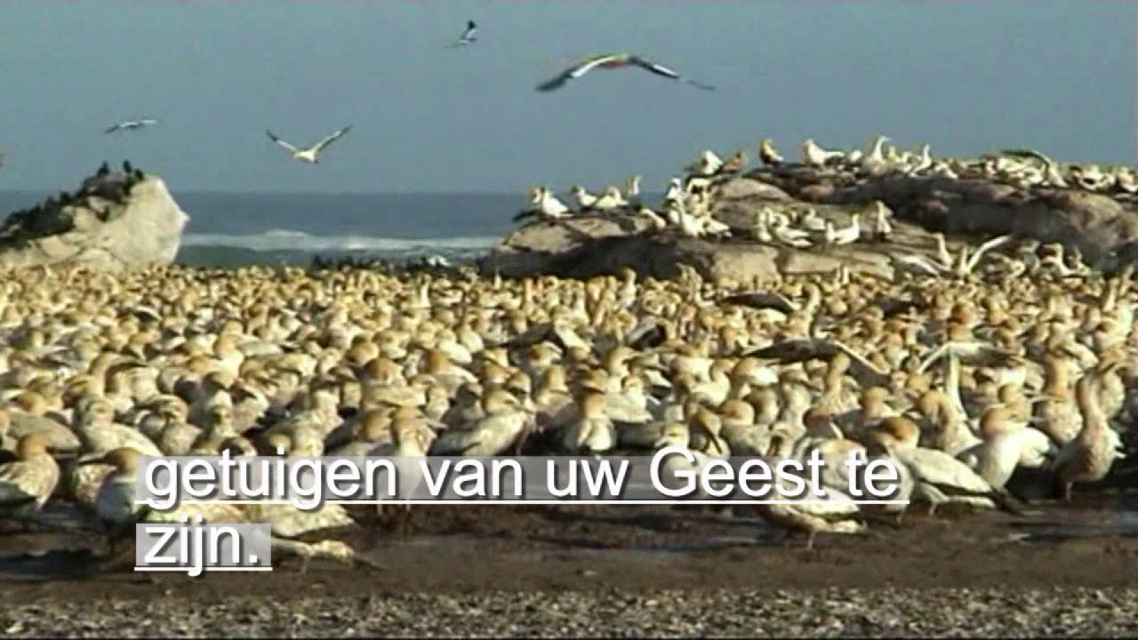 Gij hebt, o Vader van het leven  liedboek 479
