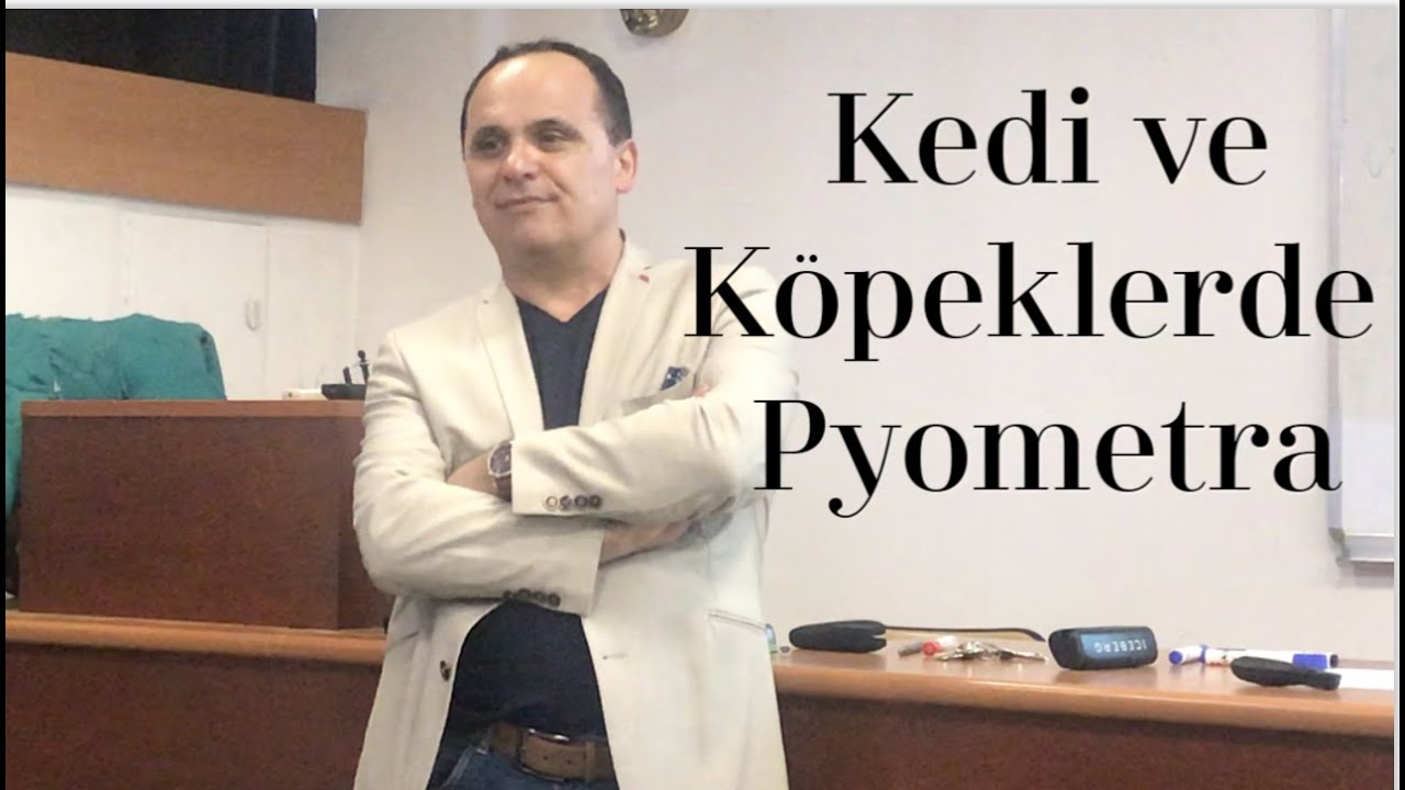 Kedi ve Köpeklerde Pyometra | Prof. Dr. Ayhan Baştan