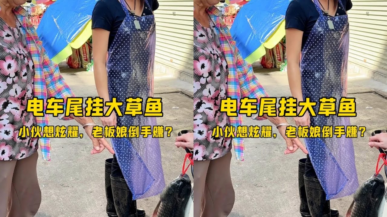 电车尾挂大草鱼，小伙想炫耀，老板娘倒手赚？