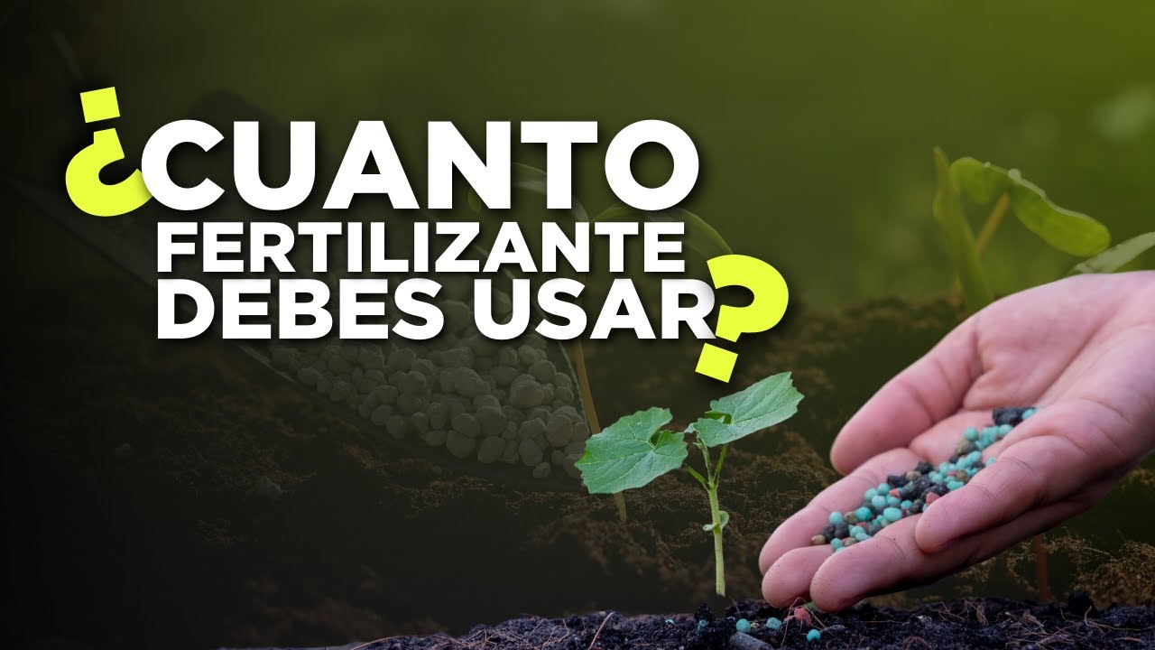 cuanto fertilizante debes usar