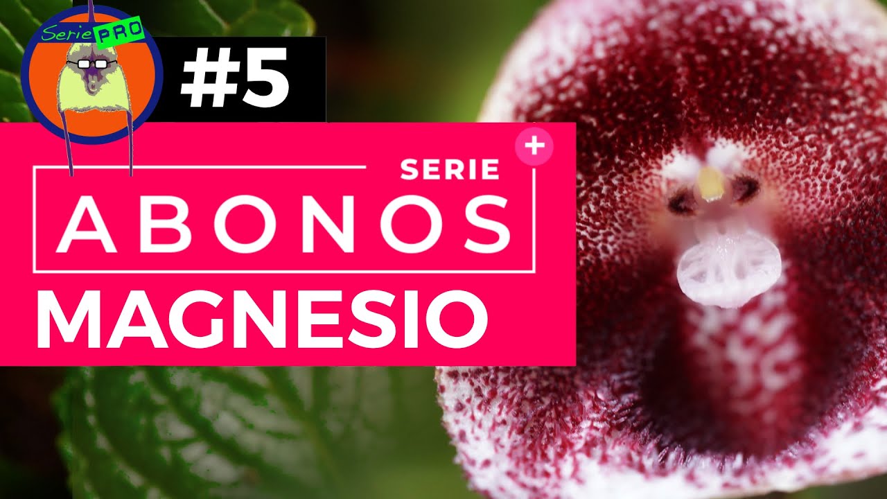 Serie Abonos Parte 5 | MAGNESIO