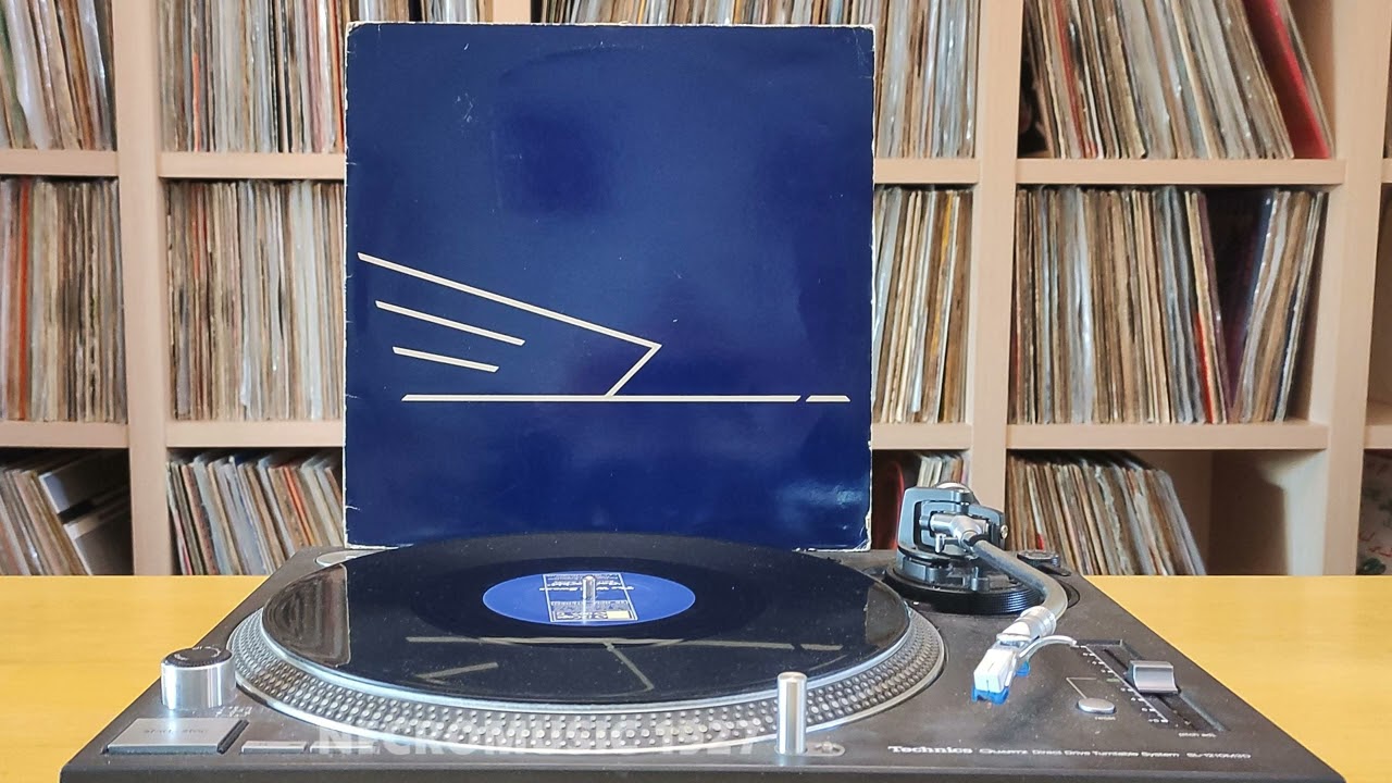 The Wild Swans | The Revolutionary Spirit Original Mix (12