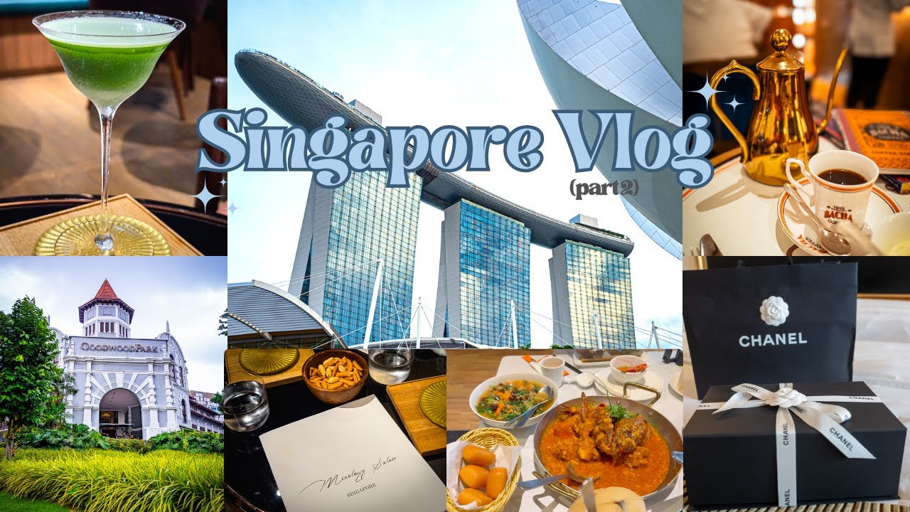 Singapore Vlog| unboxing my 1st Chanel bag, trying Chili Crab JUMBO,must visit bar and cafe | part 2