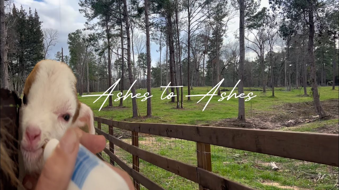 Saying Goodbye to Abbot (EMOTIONAL)