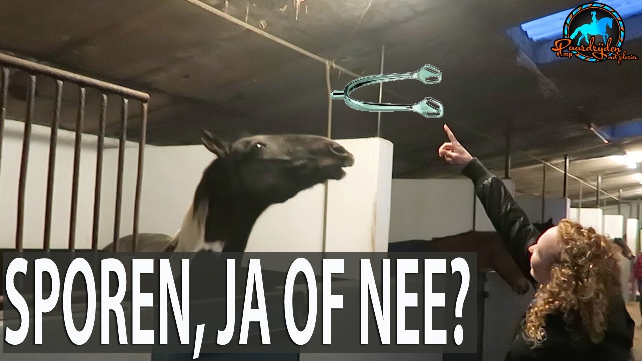 Vlog Dressuur trainen met sporen | Paarden en paardrijden