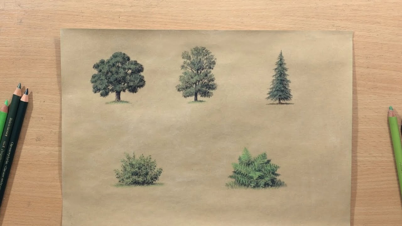 How to Draw Trees and Bushes - Landscape in Colored Pencil