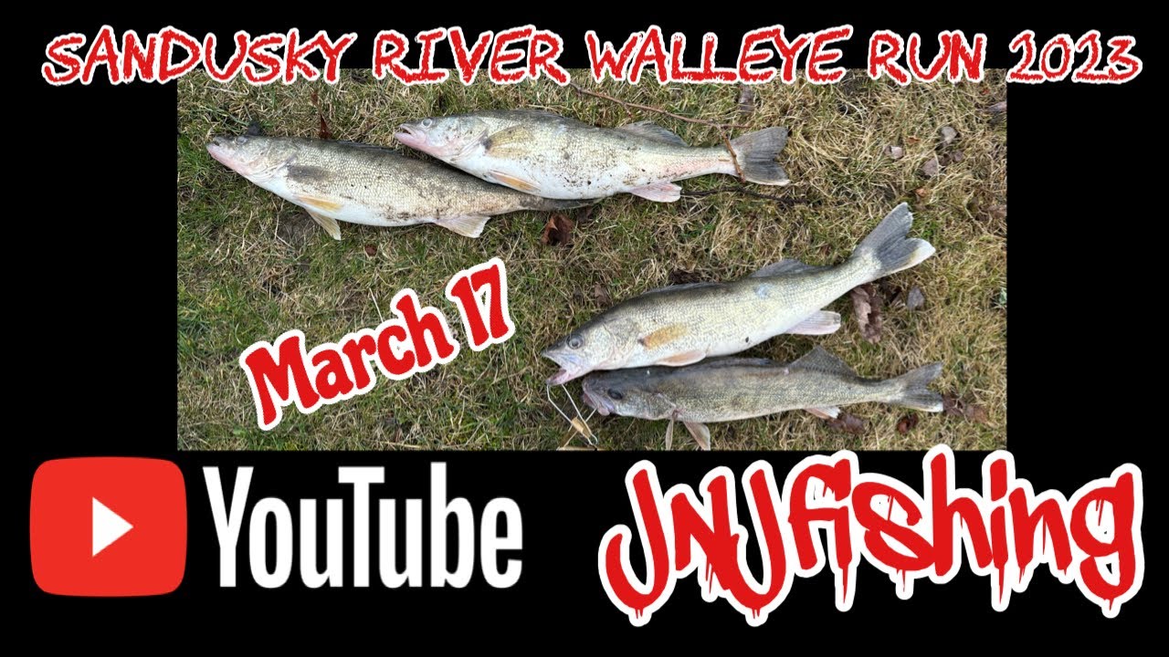 2023 Sandusky River Walleye Run March 17     JNJ on Em!