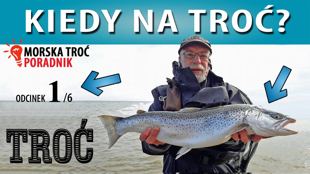 TROĆ ➤ najlepsze miesiące na morską troć (1/6)
