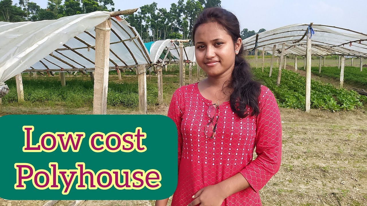 কম খরচে সবজি চাষের পলি হাউস তৈরি।Low cost Polyhouse।।