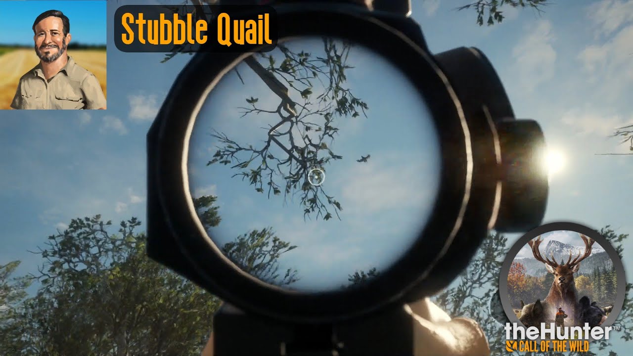 Stubble Quail theHunter Call of the Wild