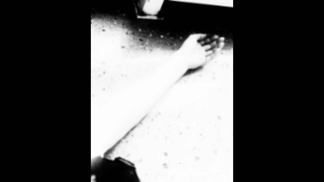 dalamb - detachment (DSBM)