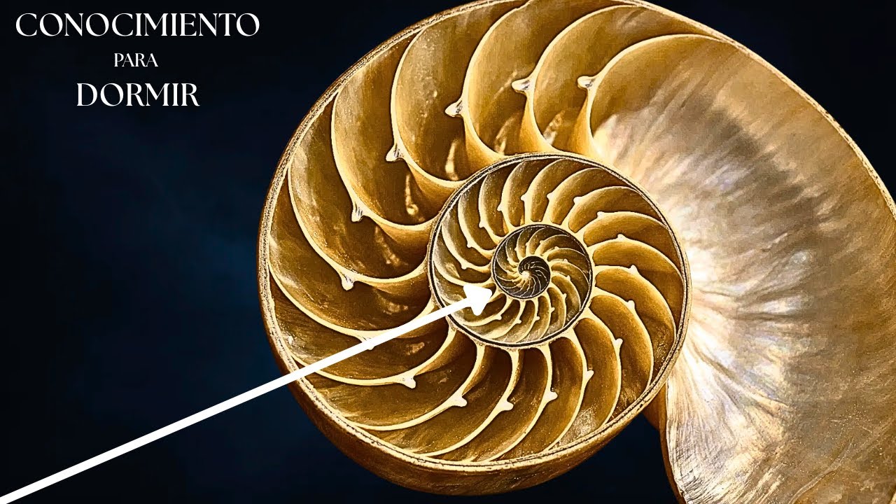 Fibonacci: El Código Secreto de la Naturaleza y el Orden Oculto del Universo