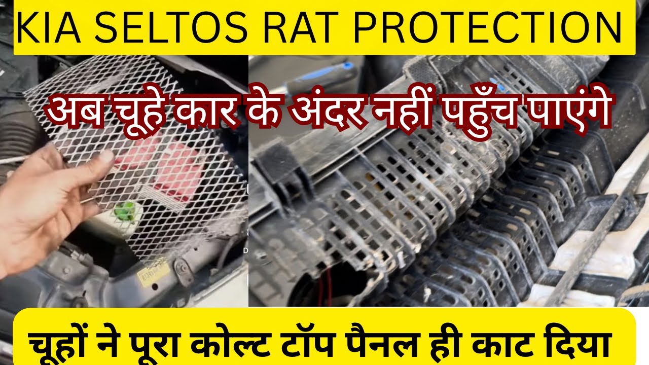 Rat Protection 100% Kia Seltos | Cowl Top Cover Repair and Mesh install |