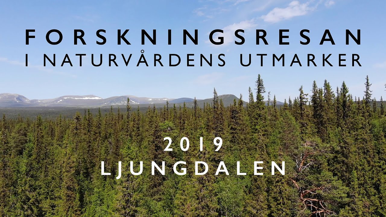 Forskningsresan i Naturvårdens Utmarker 2019: Ljungdalen
