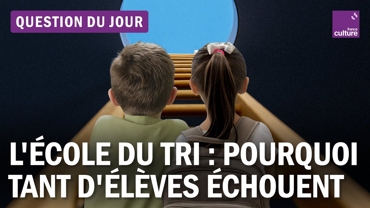 L'école en France : un système qui reproduit les inégalités sociales