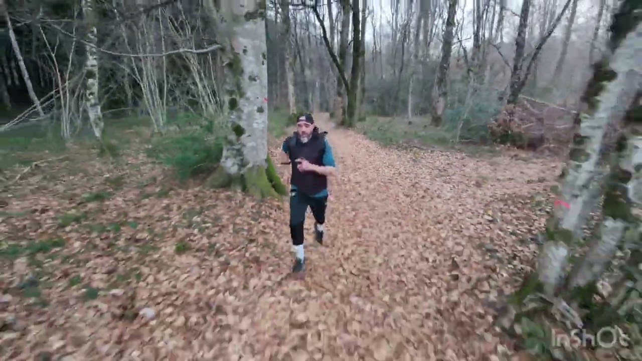 Kd'air : Quand la nature devient ton terrain d'entraînement 